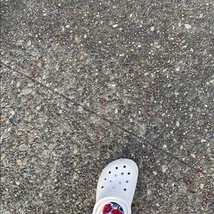 Meet your Posher, Jackson